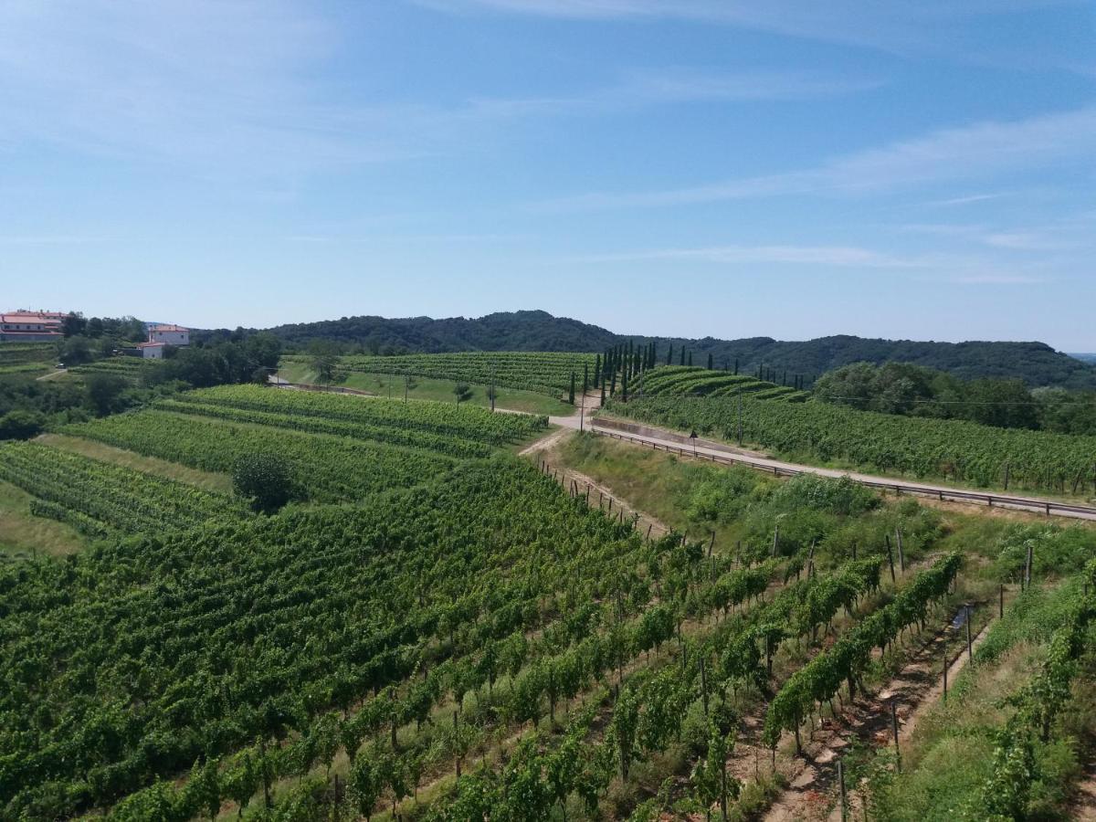 Agriturismo Casa Delle Rose Winery Ruttars Bagian luar foto