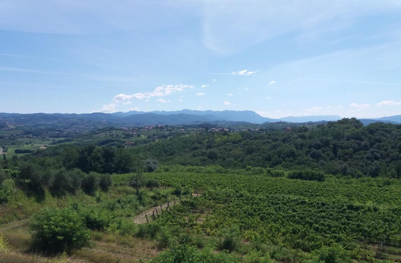 Agriturismo Casa Delle Rose Winery Ruttars Bagian luar foto