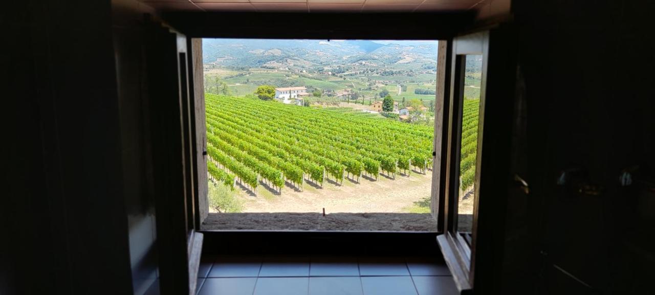 Agriturismo Casa Delle Rose Winery Ruttars Bagian luar foto
