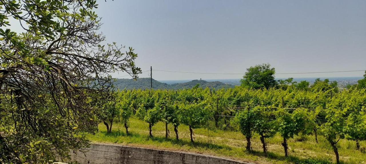 Agriturismo Casa Delle Rose Winery Ruttars Bagian luar foto