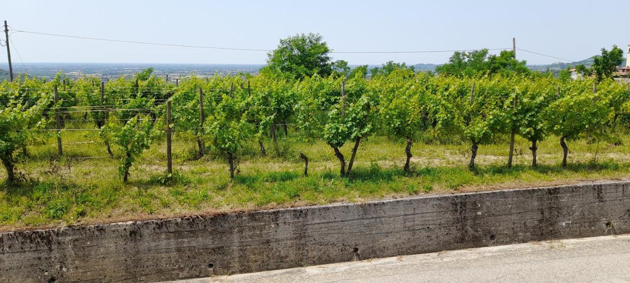 Agriturismo Casa Delle Rose Winery Ruttars Bagian luar foto
