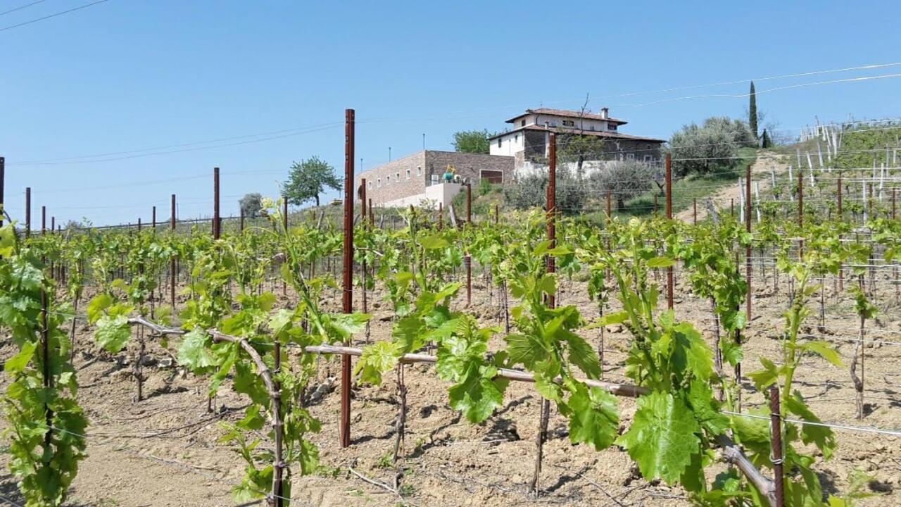 Agriturismo Casa Delle Rose Winery Ruttars Bagian luar foto
