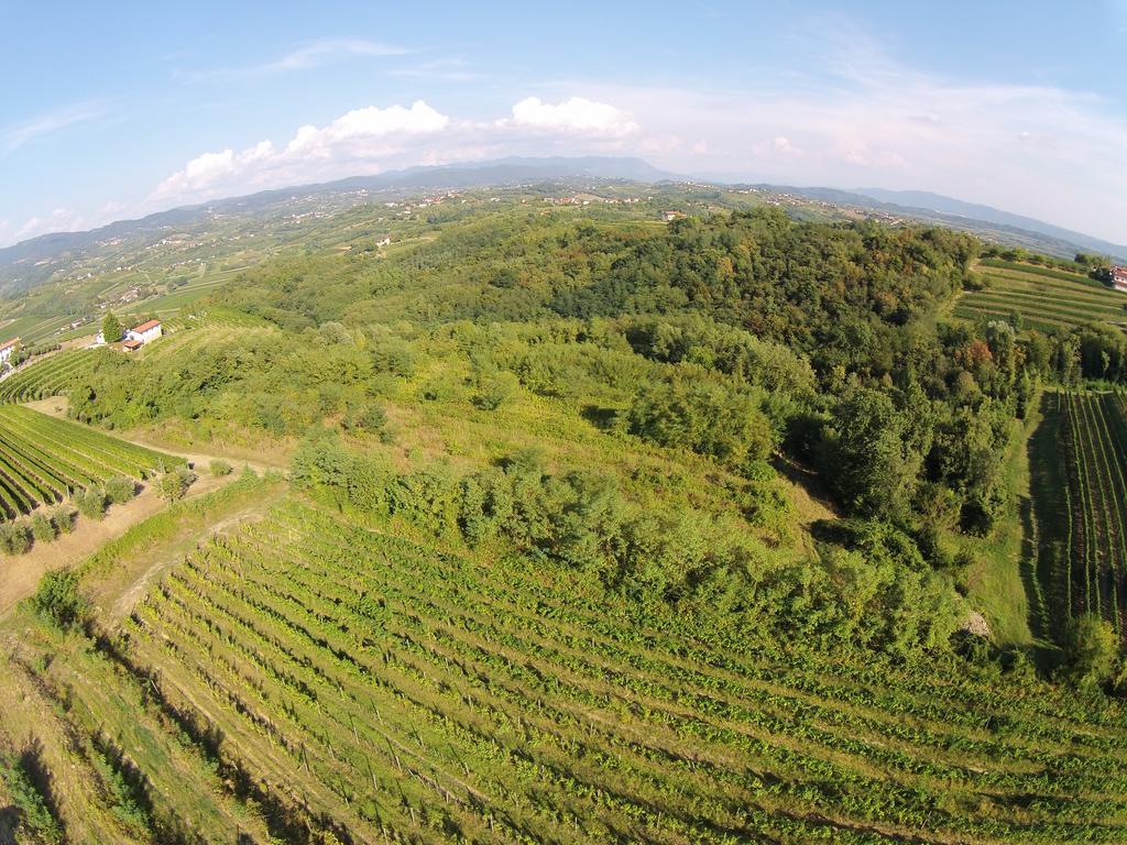 Agriturismo Casa Delle Rose Winery Ruttars Bagian luar foto