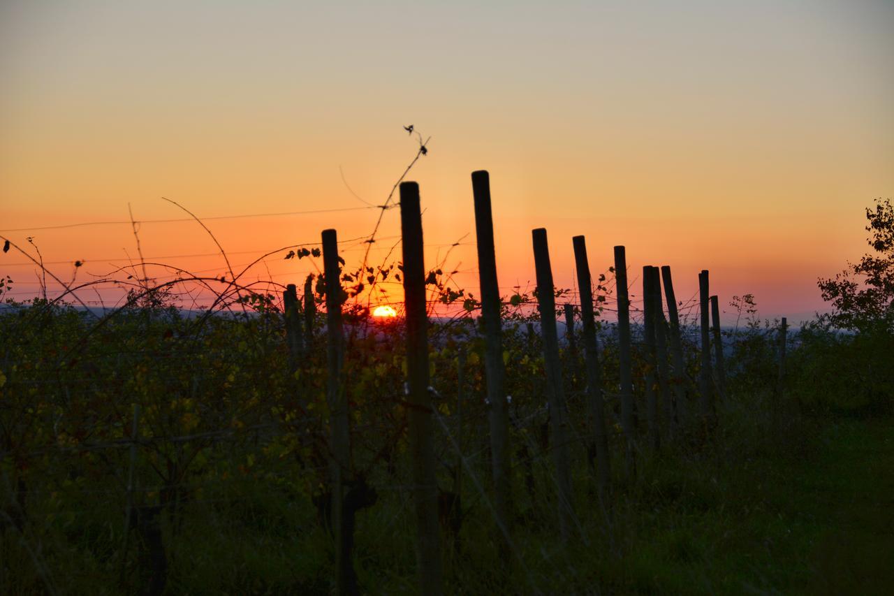 Agriturismo Casa Delle Rose Winery Ruttars Bagian luar foto