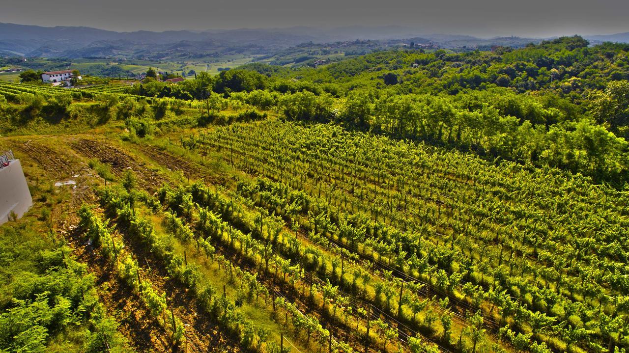 Agriturismo Casa Delle Rose Winery Ruttars Bagian luar foto